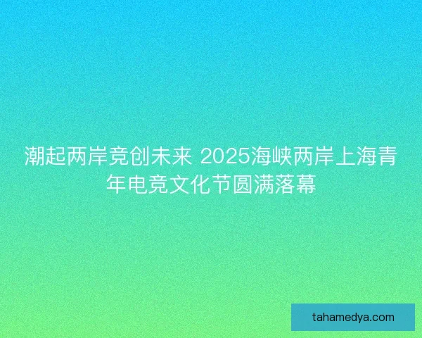 潮起两岸竞创未来 2025海峡两岸上海青年电竞文化节圆满落幕